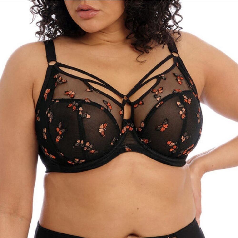 Elomi Sachi Plunge Bra Monarch Butterfly Underwire Size 36K